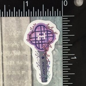 🌀10/$10🌀 K-Pop Demon Hunters Reusable Waterproof Vinyl Sticker Decal